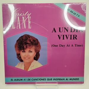 VTG Christy Lane~ A Un Dia Vivir (One Day at a Time) Spanish Vinyl LP SEALED